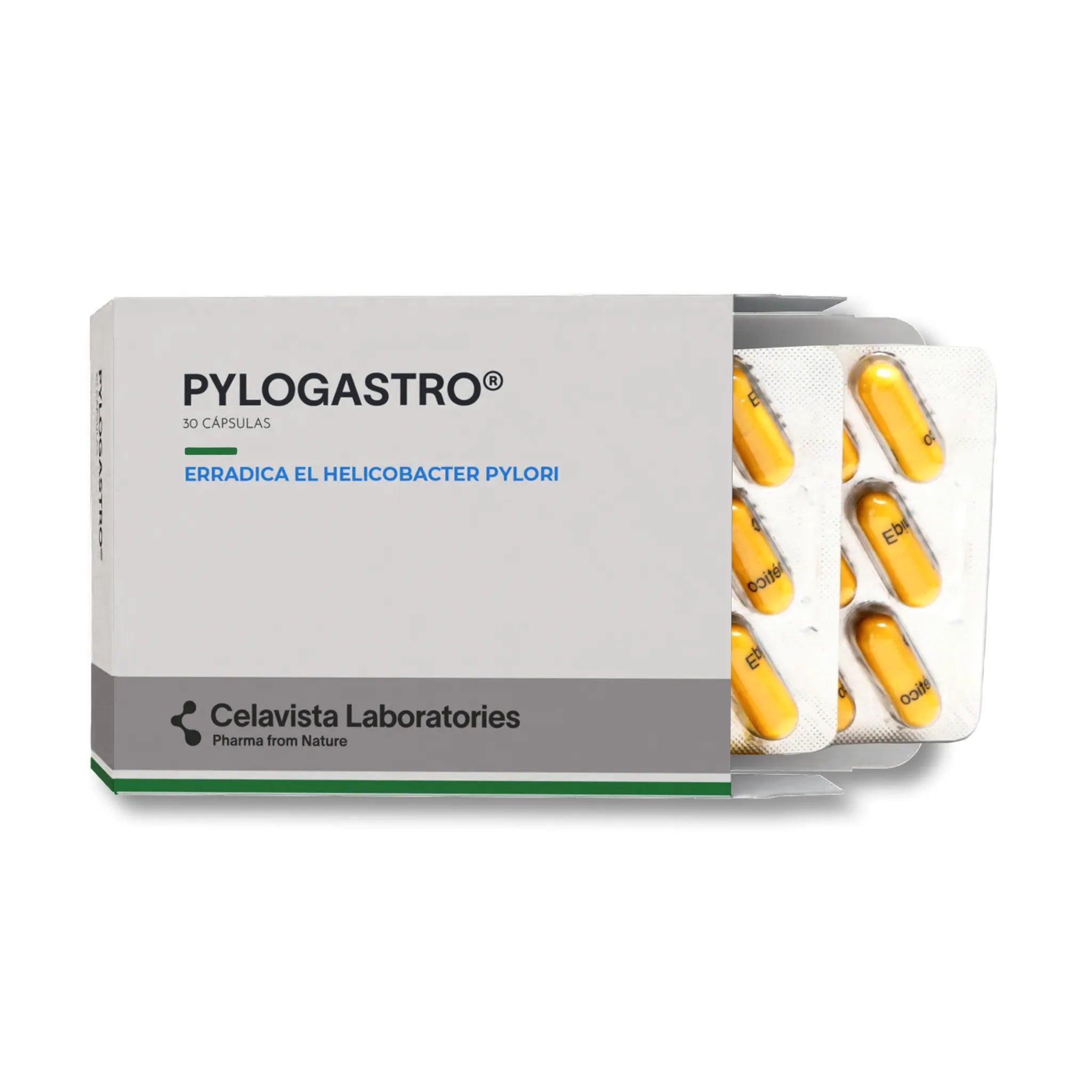Pylogastro