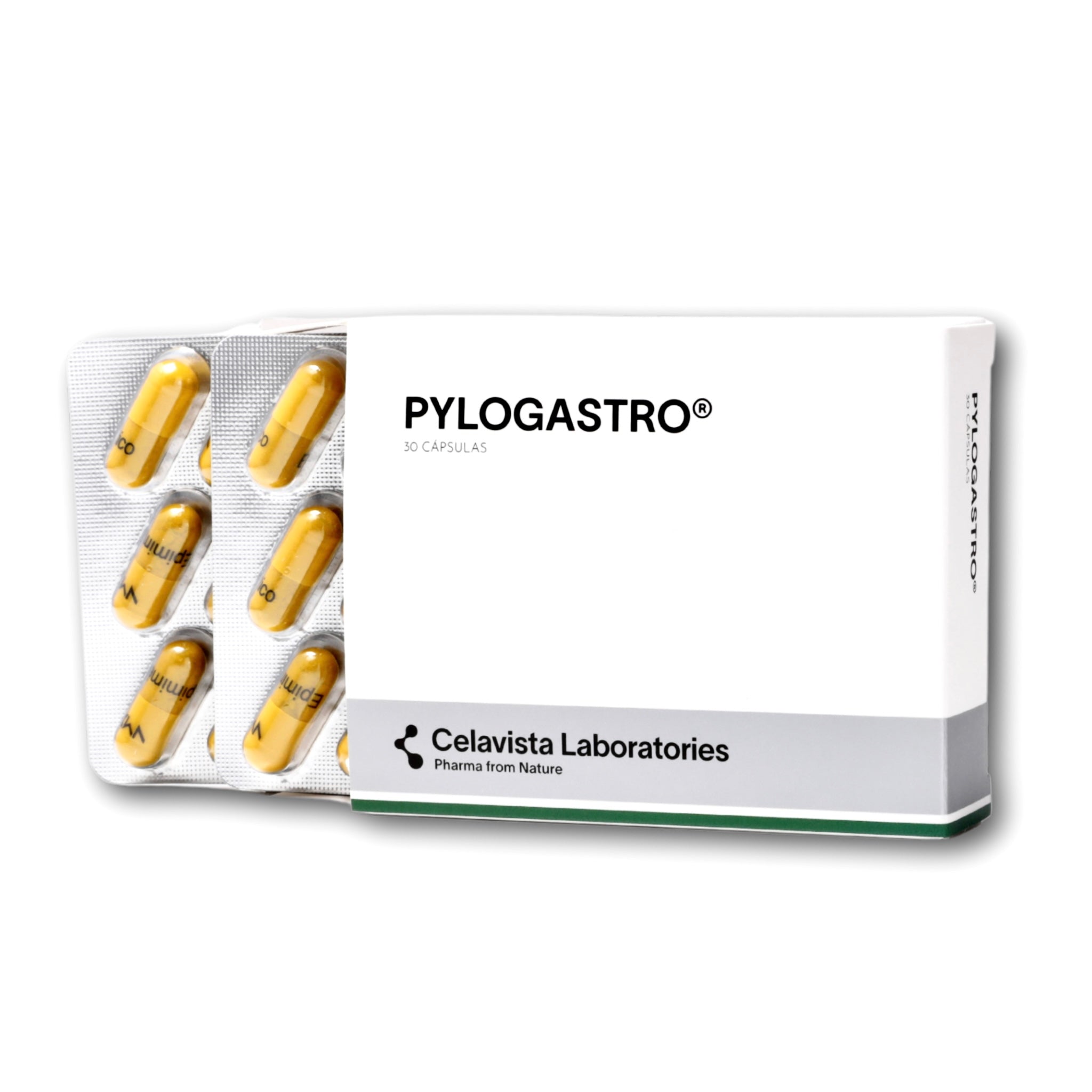 Pylogastro